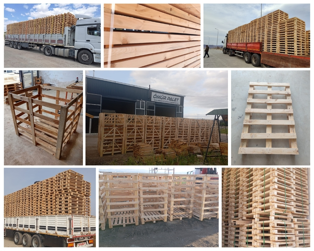 Canford Cliffs Wooden Pallets, Buy Wooden Pallets Wholesale